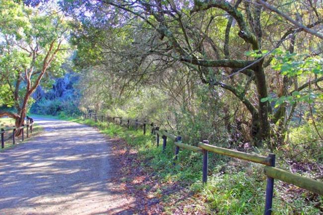 Alkantmooi Private Nature Reserve - Keursee Plettenberg Bay Luaran gambar